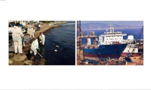 DENİZİ KİRLETEN HARRİER’E KAMU DAVASI