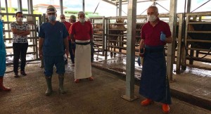 KURBAN KESİM ELEMANLIĞI KURSU AÇILIYOR