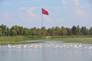 KUŞ CENNETİ RENGARENK
