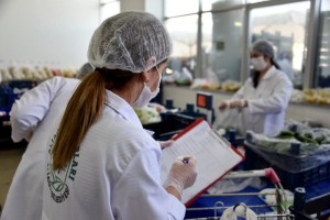 aliagasemtpazari.com HİZMETLERİNİ SONLANDIRACAK