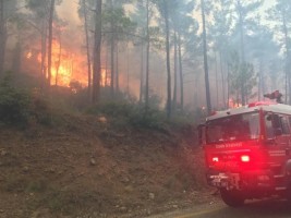 İZMİR İTFAİYESİ ORMANLAR İÇİN TEYAKKUZ HALİNDE