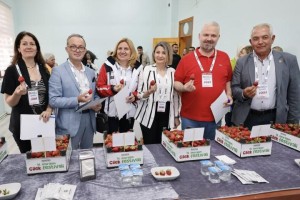 Emiralem çileği yüz binleri buluşturdu