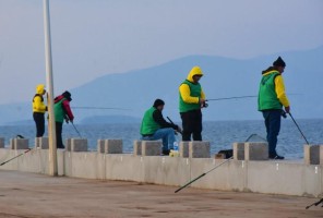 FESTİVAL BUGÜN BAŞLIYOR