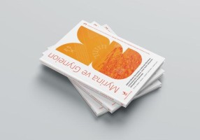 SERİNİN 3. CİLDİ YAYINLANDI