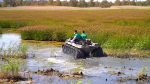 Haşereyle mücadele çalışmaları hızlandırıldı