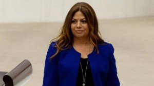 CHP DOĞA HAKLARI İZLEME KOMİSYONU KURDU