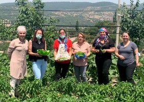 CHP’Lİ KADINLAR MAHALLE ZİYARETLERİNDE