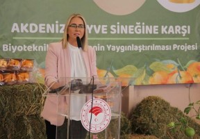 Çankırı’dan "U Dönüşü" göndermesi
