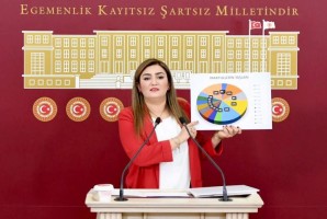 Kılıç’tan “Aile Katliamları” raporu