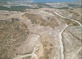Yanan ormana 1 milyon fidan
