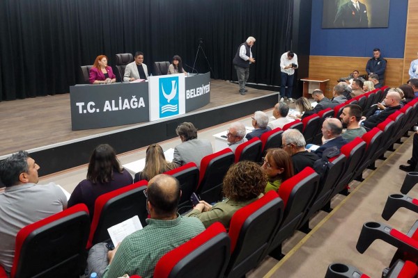 Mecliste gündem elektrik altyapısı, istifalar ve çevre