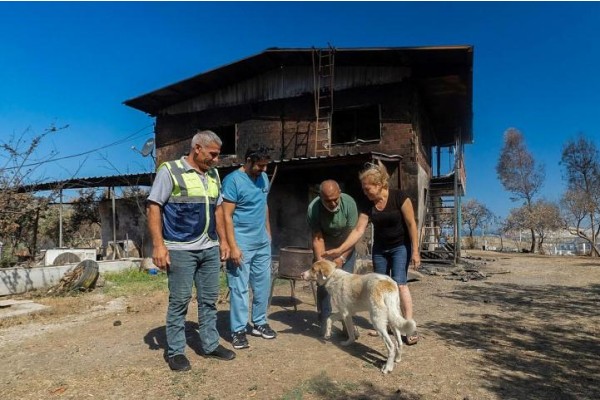 Yangından kurtarılan Kaptan sahiplendirildi