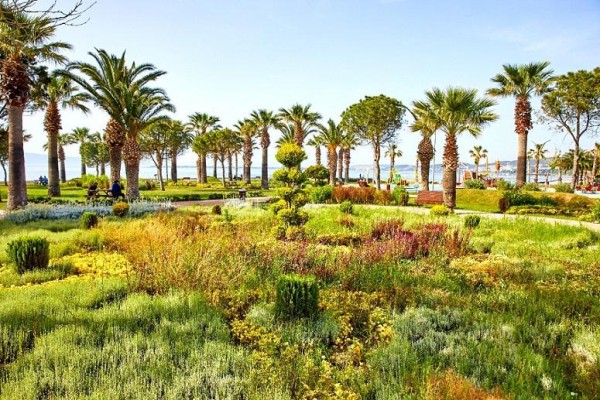 Park ve bahçelerin su abonelikleri iptal edilecek