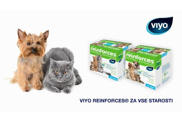 Viyo Reinforces Nedir?