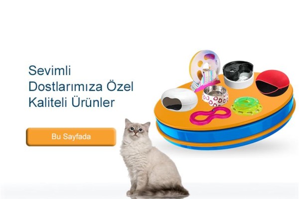 Kedinizin Çok Seveceği Kedi Aksesuarları
