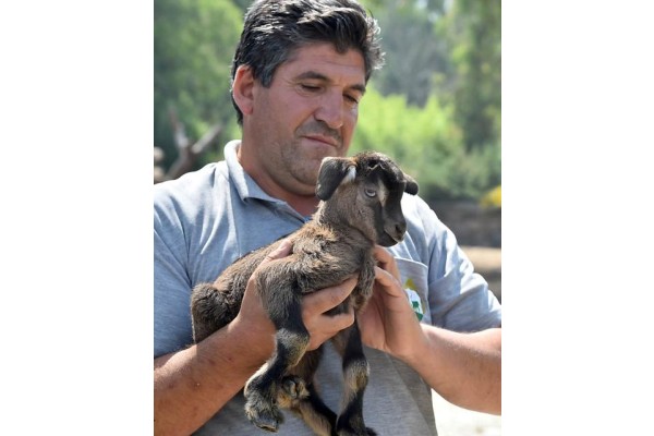 İZMİR DOĞAL YAŞAM'IN YENİ YAVRULARI