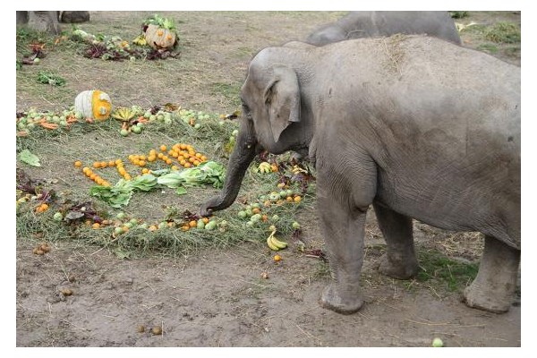 İYİ Kİ DOĞDUN İZMİR!