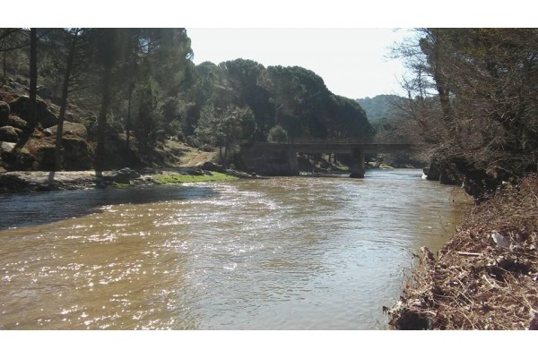 BERGAMA 1.KUZUGÖBEĞİ MANTARI BULUŞMASI