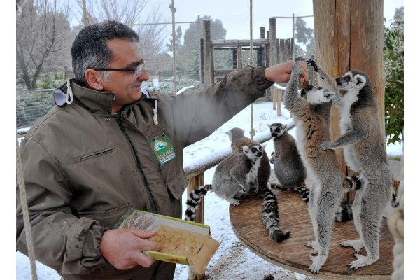 DOĞAL YAŞAM PARKINDAKİ HAYVANLARIN KAR KEYFİ