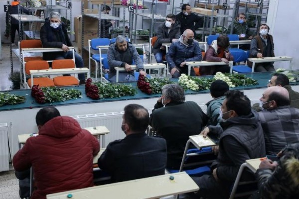 GÜL ÜRETİCİSİ FİYATLARDAN MEMNUN