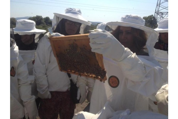 ARICILIK EĞİTİMİ TAMAMLANDI