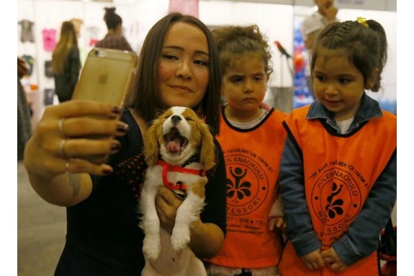 KÖPEK KIYAFETLERİ DEFİLESİ DÜZENLENDİ