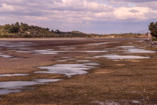 BADEMLİ’DE DENİZ SUYU 50 METRE ÇEKİLDİ