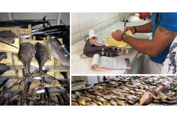 EŞ ZAMANLI SU ÜRÜNLERİ ÇAPRAZ DENETİMLERİ YAPILDI