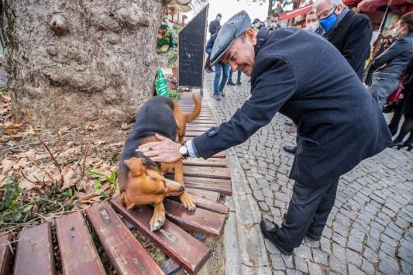 SOKAK HAYVANLARI İÇİN EL ELE