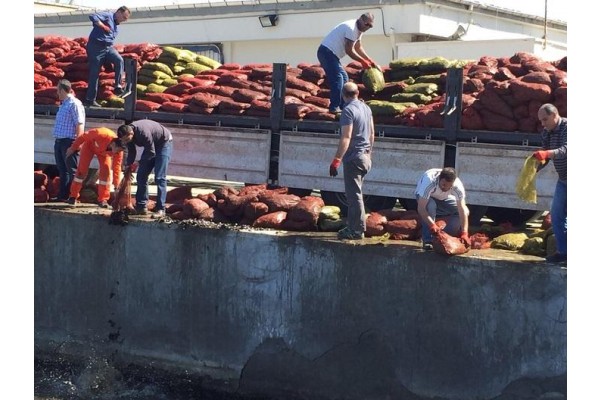 24 TON KAÇAK MİDYEYE EL KONULDU