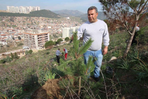 BAYRAKLI’DA AĞAÇLANDIRMA ÇALIŞMASI