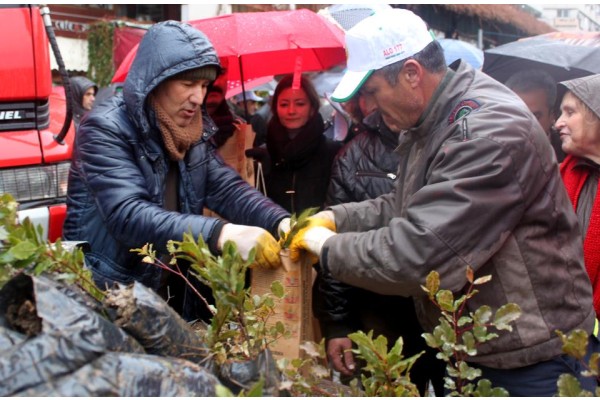 "AĞAÇ KESMEYELİM, FİDAN DİKELİM"