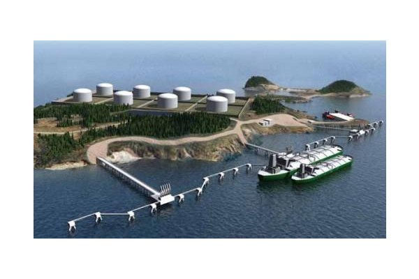 YÜZEN LNG'YE KOÇ HOLDİNG DE TALİP