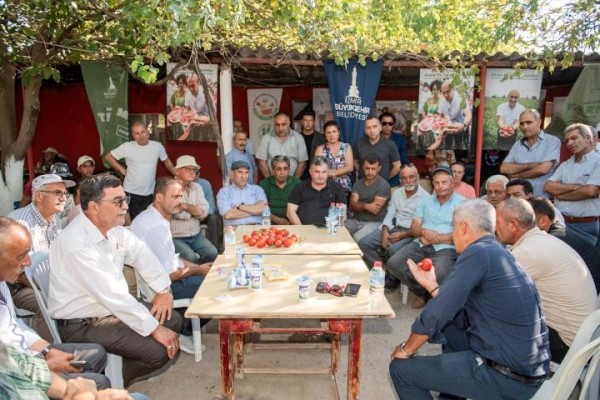 Domates tarlada 2,5 lira!