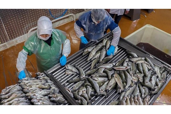 SU ÜRÜNLERİ İHRACATINDA YIL BİTMEDEN REKOR GELDİ