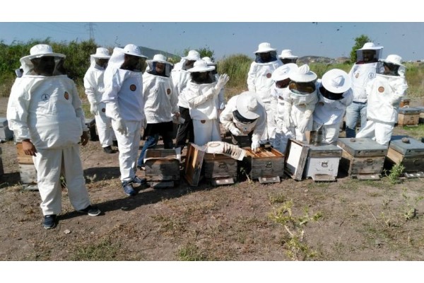 İLK ÇİÇEK BALI SAĞILDI