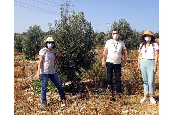 TARIMSAL FAALİYETLER KONTROL ALTINDA