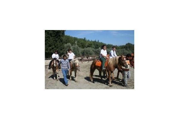 Bozkır Kültürünü yaşadılar