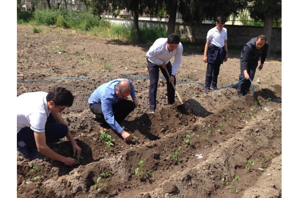 ALİAĞA’NIN ORGANİK BAHÇELİ TEK OKULU