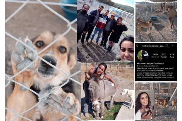 Patili dostlar ‘Merhamet Bahçesi’nde güvende