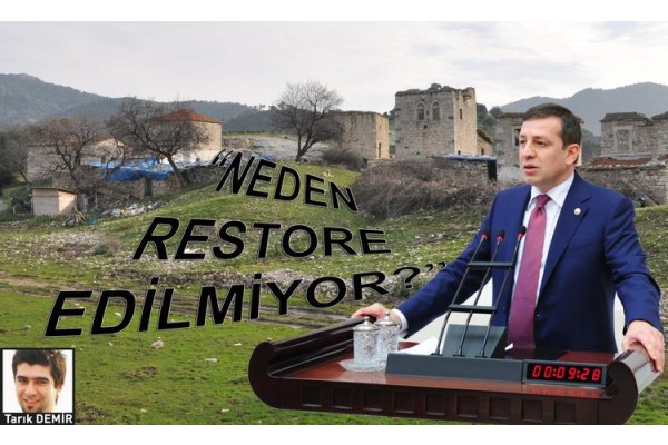 TÜRELİ, FOÇA'YI MECLİS'E TAŞIDI