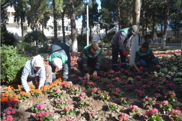 DİKİLİ RENGÂRENK ÇİÇEK AÇTI