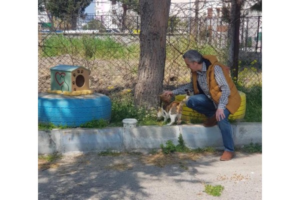 ÖĞRETMENLER SOKAK HAYVANLARINI BESLEDİ