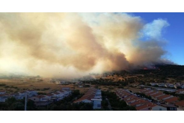 YANGINDA 20 HEKTAR ALAN ZARAR GÖRDÜ