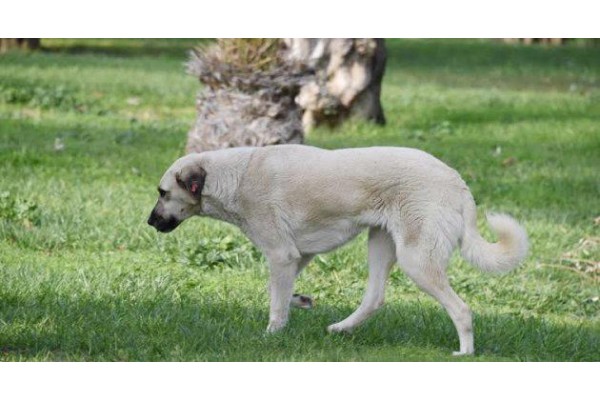 SOĞUK HAVA EN ÇOK ONLARI VURUYOR...