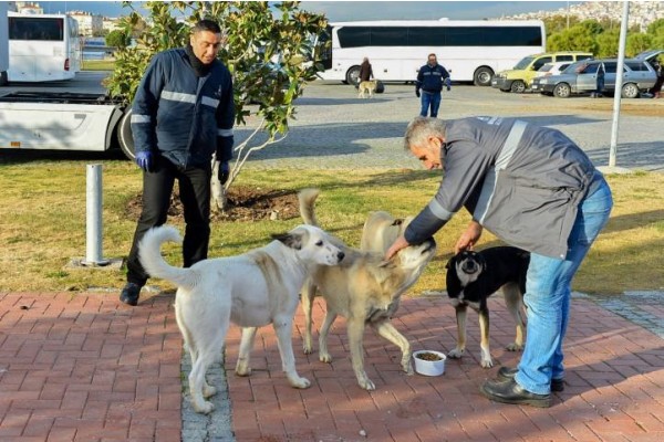 CAN DOSTLARA MAMA DAĞITIMI ARTTI