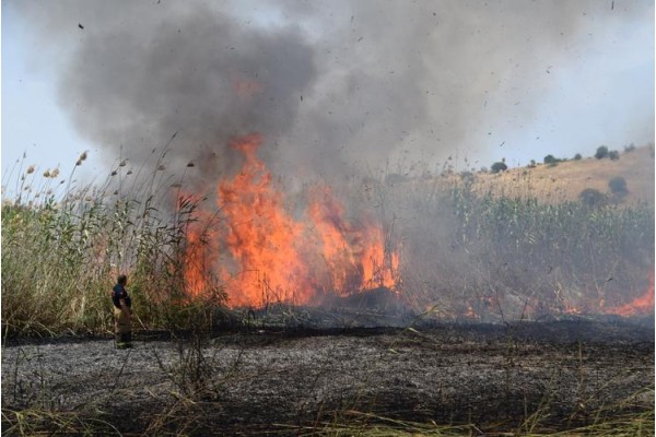 SAZLIK ALANDA YANGIN