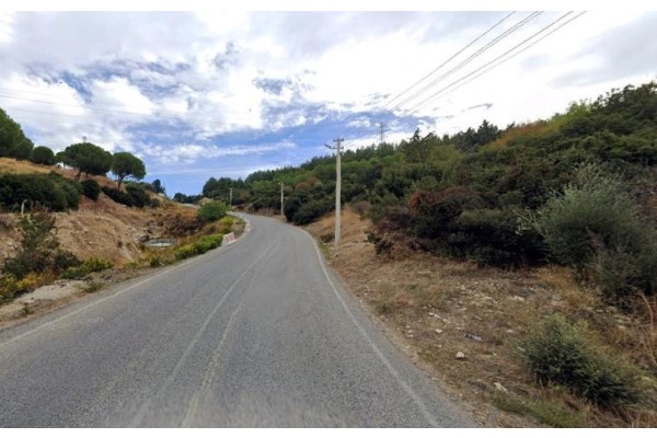 Ormanlık alanlara giriş yasaklandı