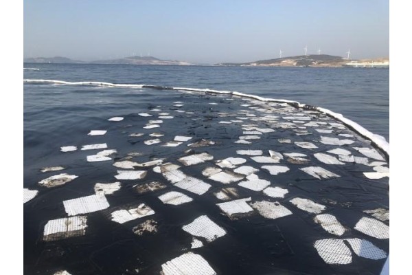 2 BİN 500 METRELİK SAHİL ŞERİDİ ZARAR GÖRDÜ