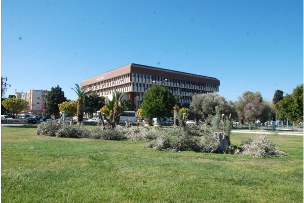 ZEYTİNLİ PARK KATLEDİLİYOR!